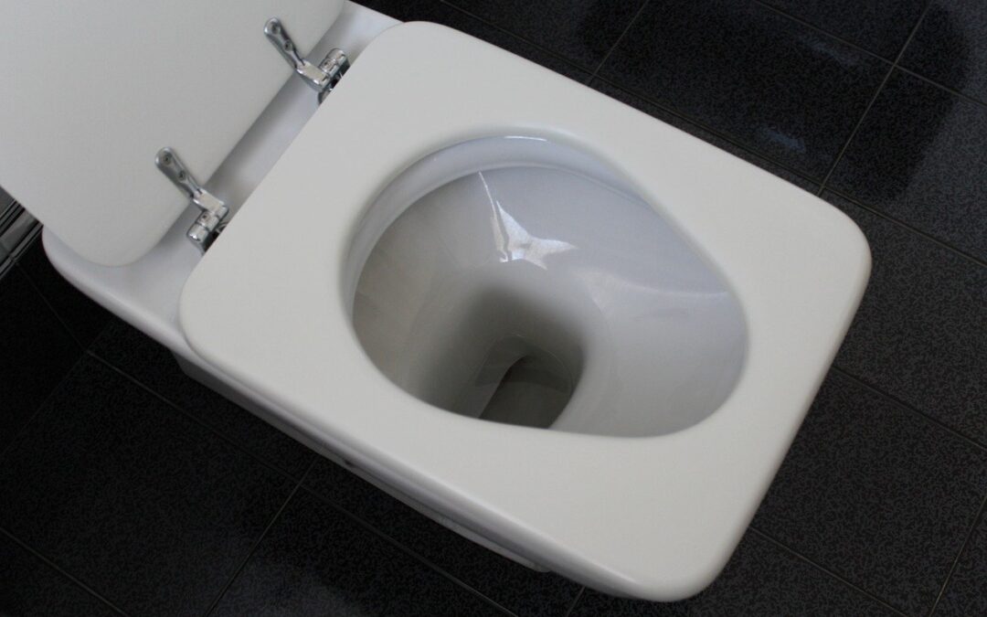 Otturazione scarico WC: come ridurre il rischio di intasamento